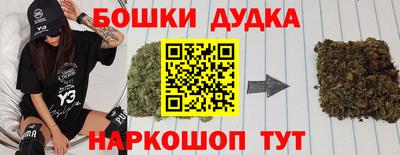 бошки Гагарин