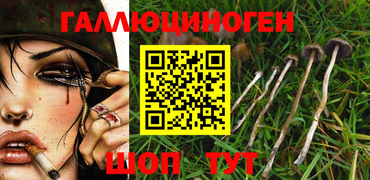 Галлюциногенные грибы Psilocybine cubensis  Вход с VPN  Муравленко 